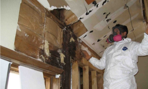 Mold Remediation Folsom CA