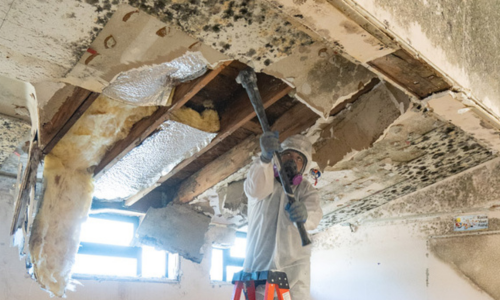 Roseville CA Mold Removal