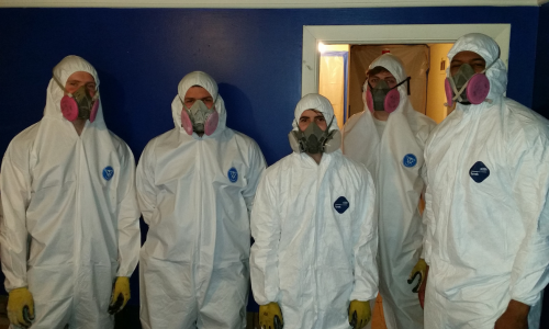 mold remediation rocklin ca