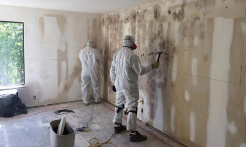 mold removal rocklin ca