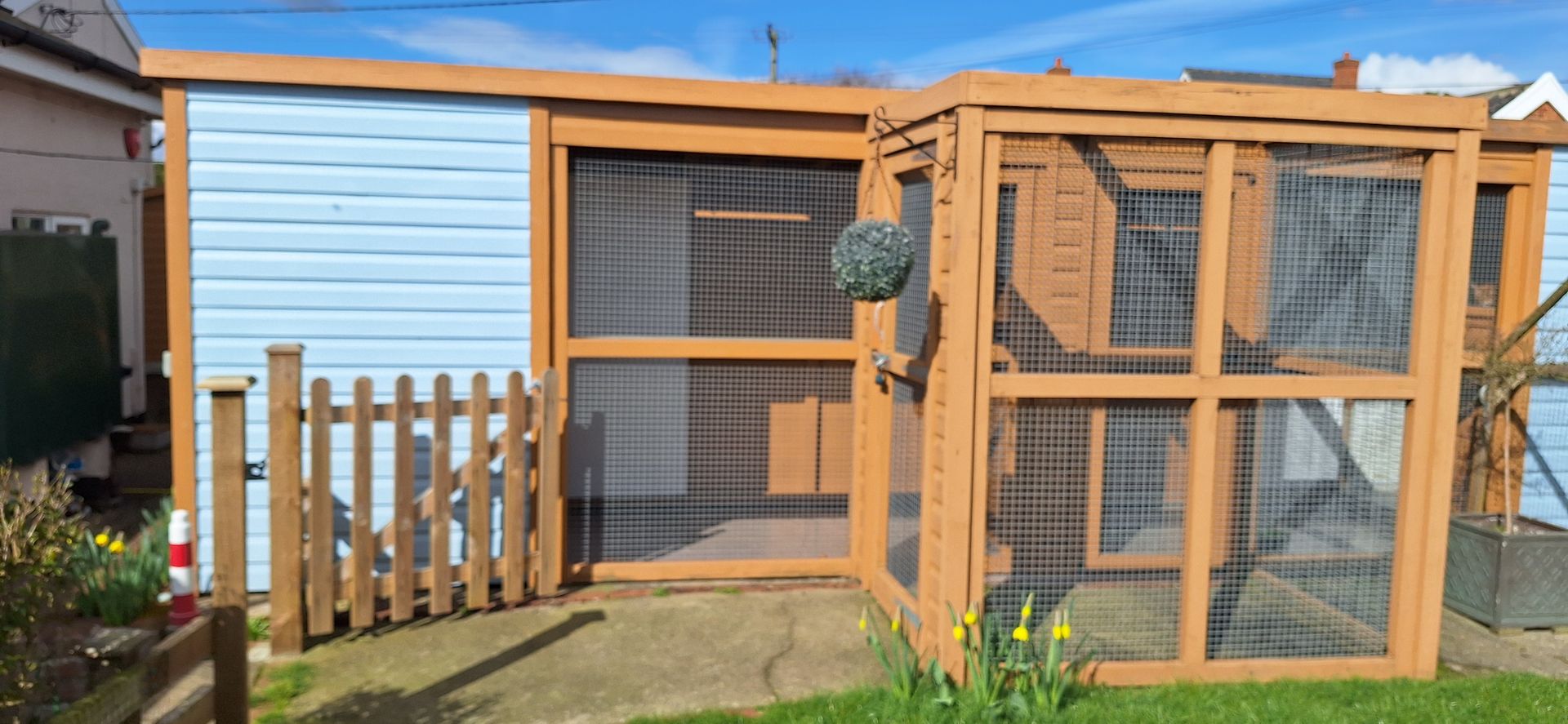 Sleeping tabby cat with closed eyes, resting on its paw. Gray and brown fur.