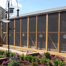 Brown dog holding a stuffed tan bunny in its mouth, on green grass.