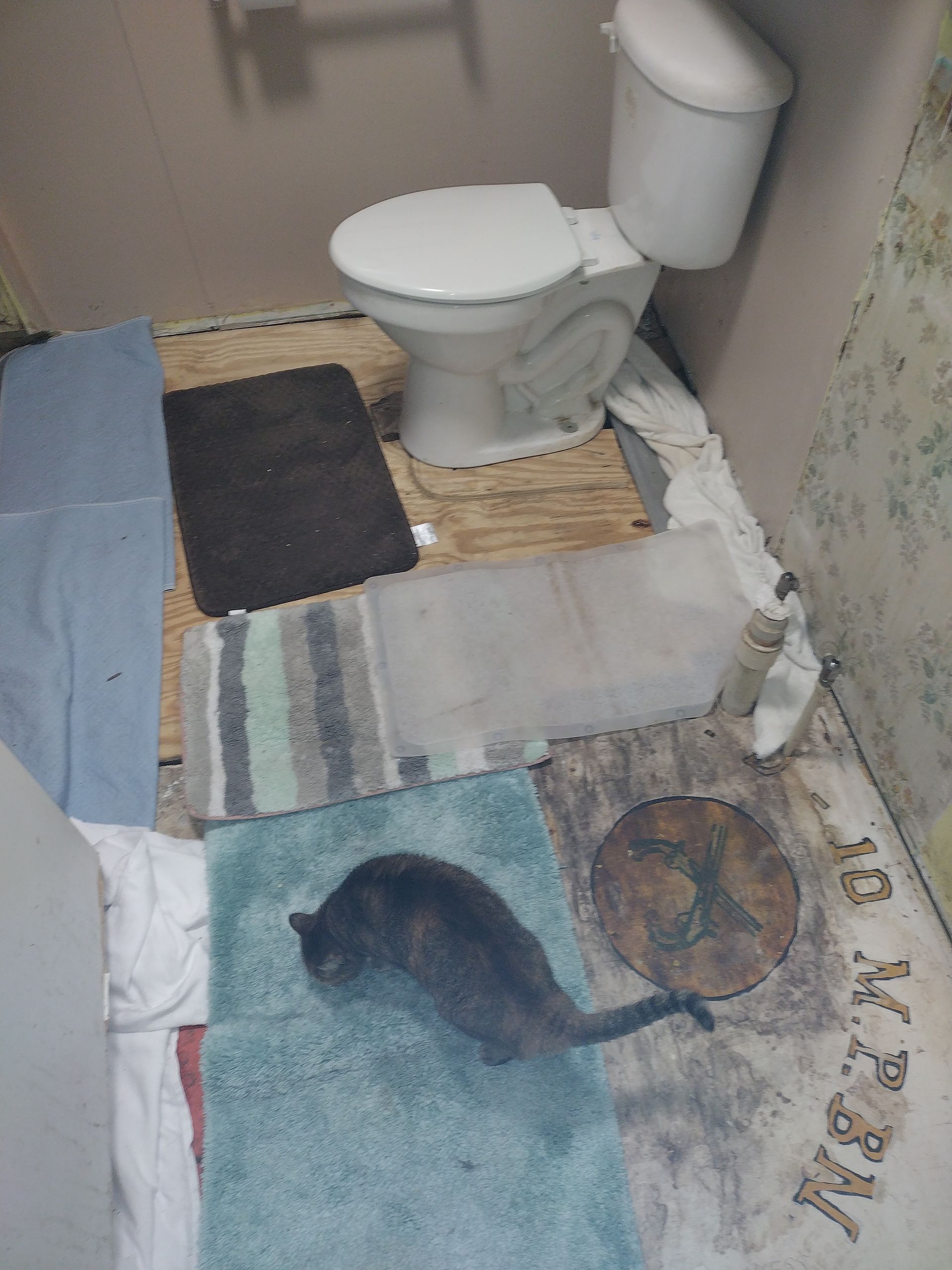 Toilet Installation & Repair in Jacksonville, Anniston & Oxford, Alabama