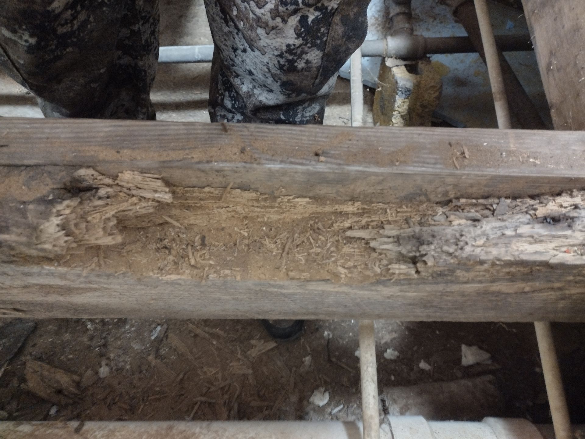 Plumbing in Jacksonville, Anniston & Oxford, Alabama