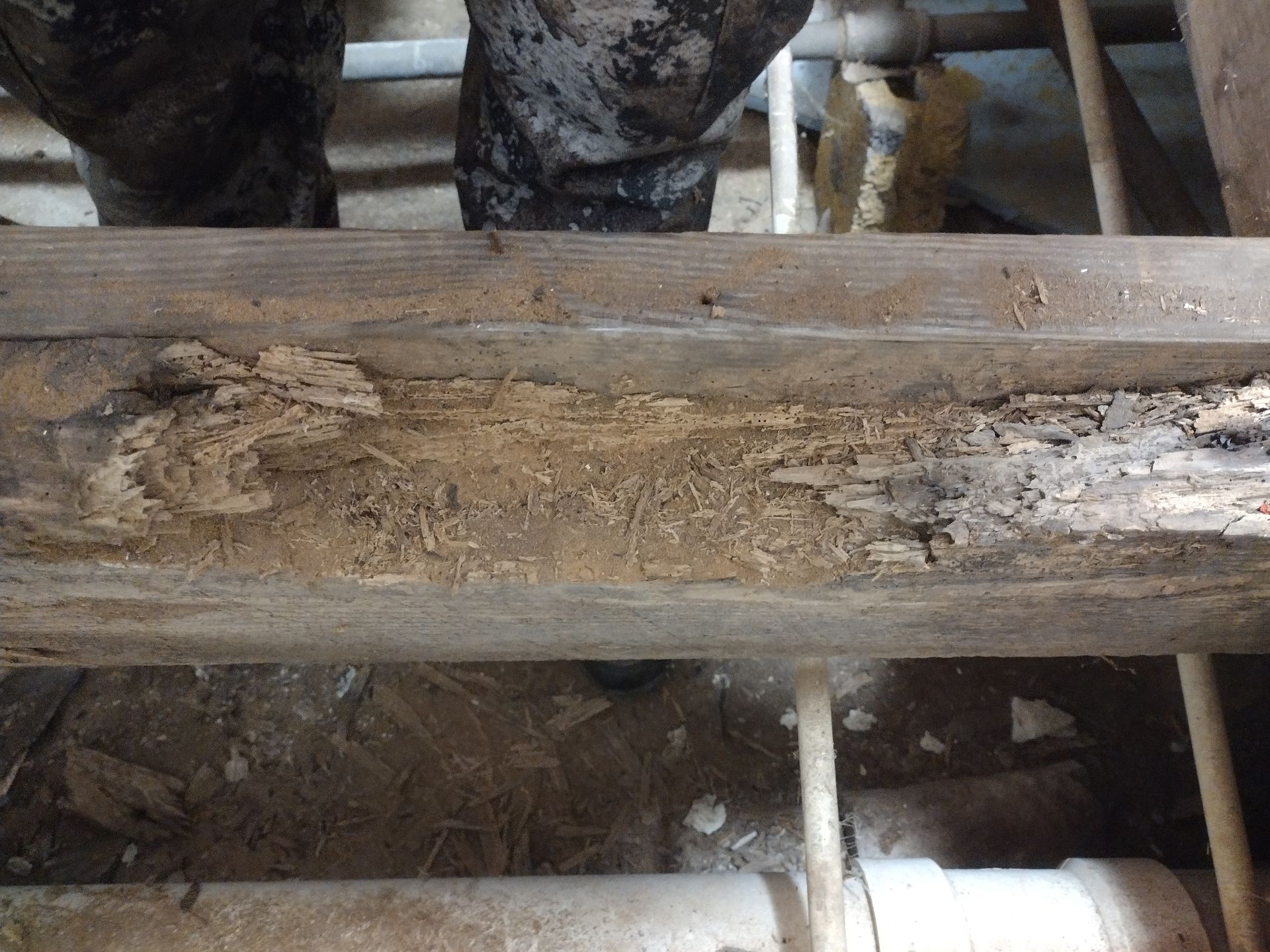 Plumbing in Jacksonville, Anniston & Oxford, Alabama