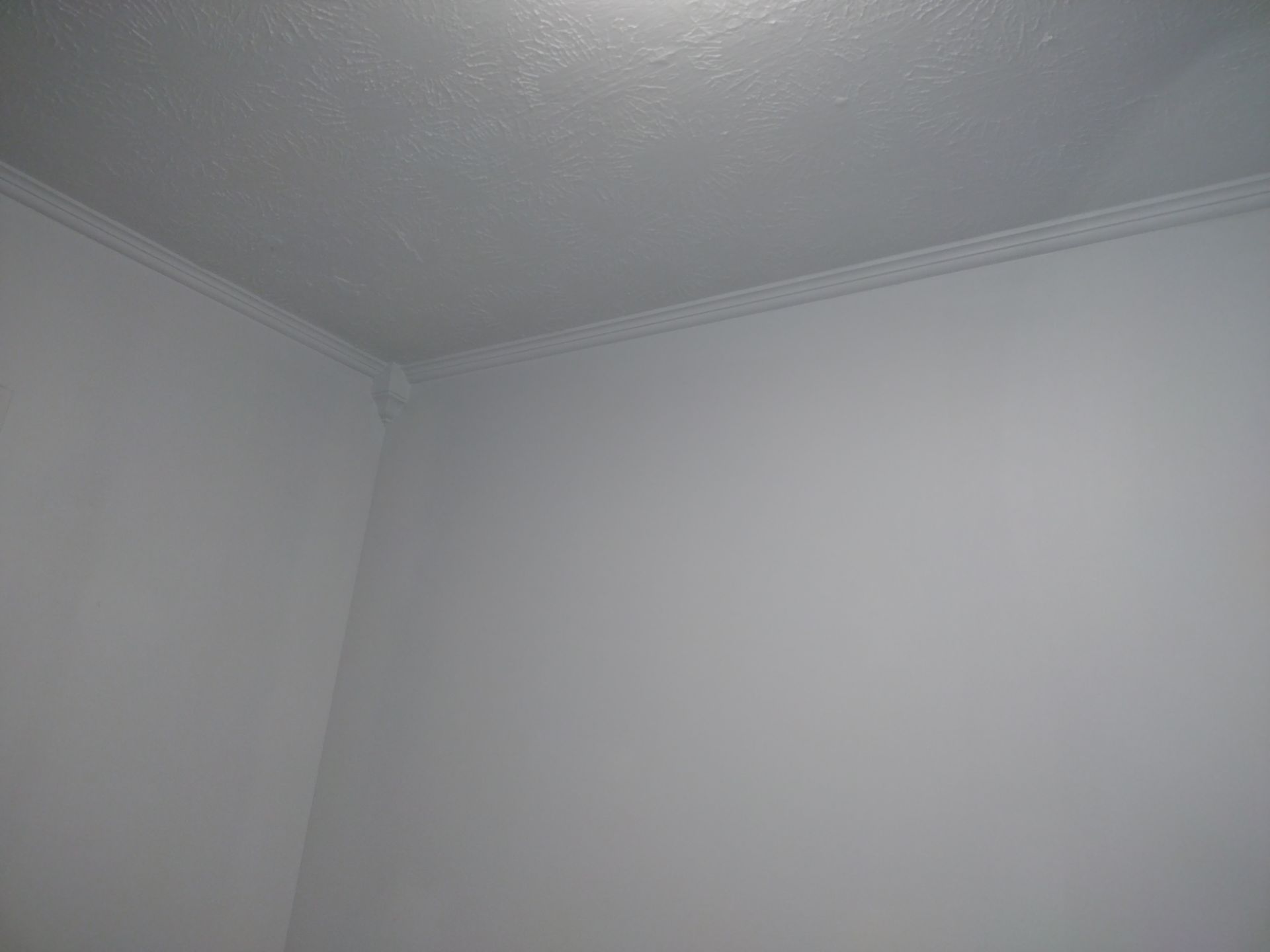 Painting in Jacksonville, Anniston & Oxford, Alabama