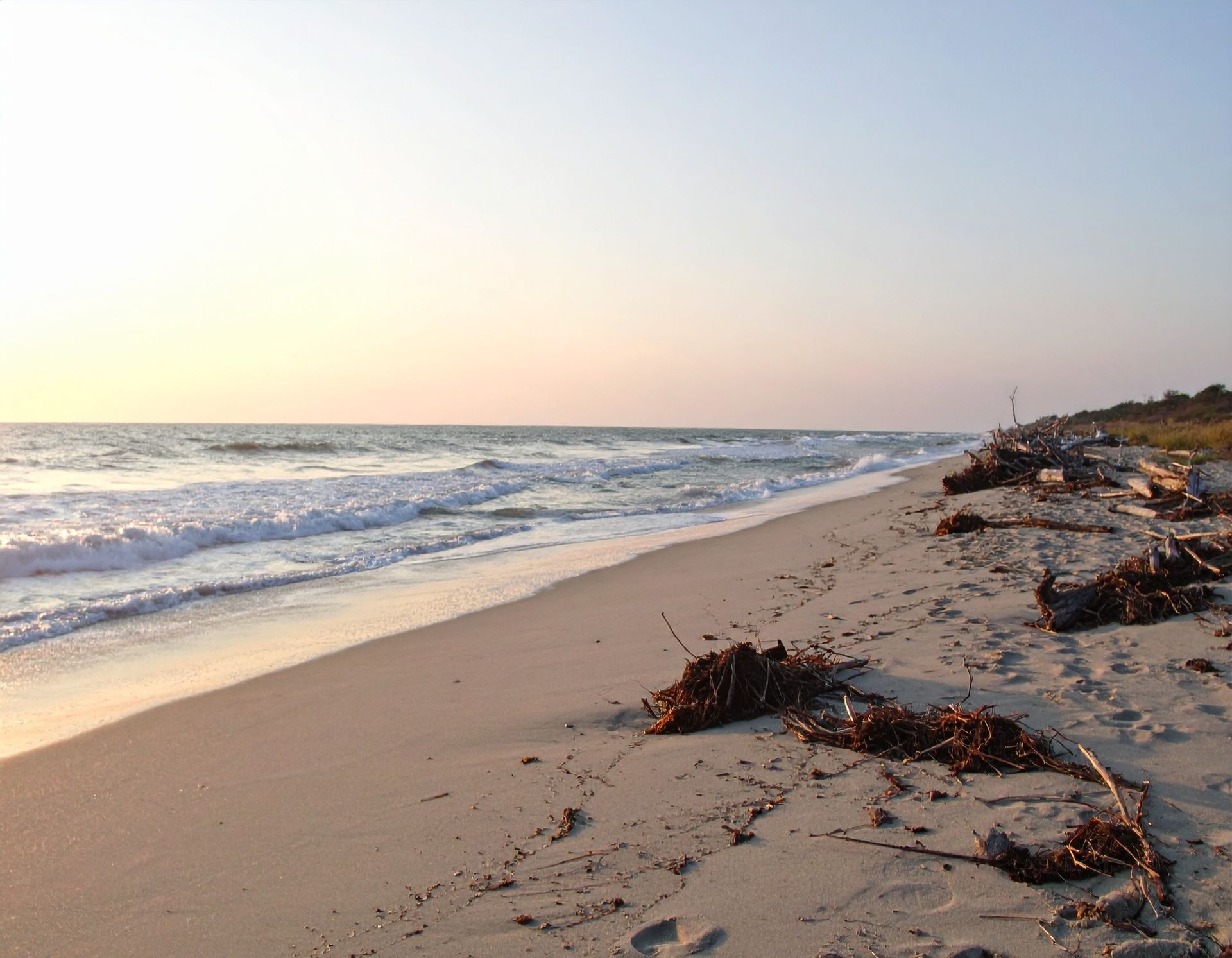 Sunlit beach with gentle waves, wet sand, and scattered seaweed along the shoreline