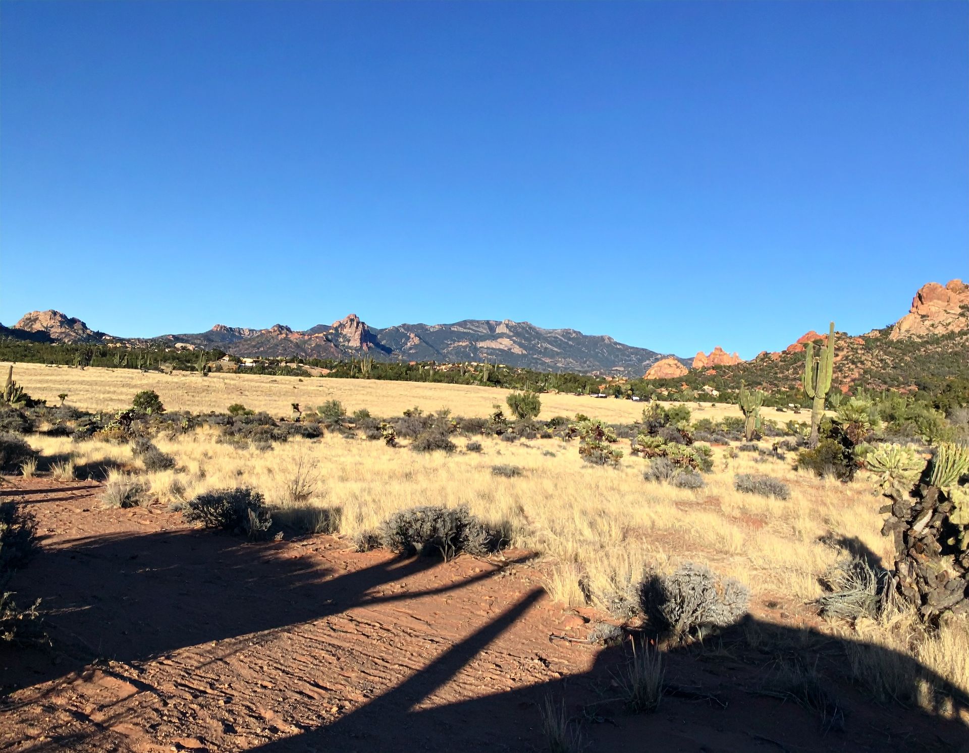 Desert landscape with red rock formations, dry shrubs, and a clear blue sky.