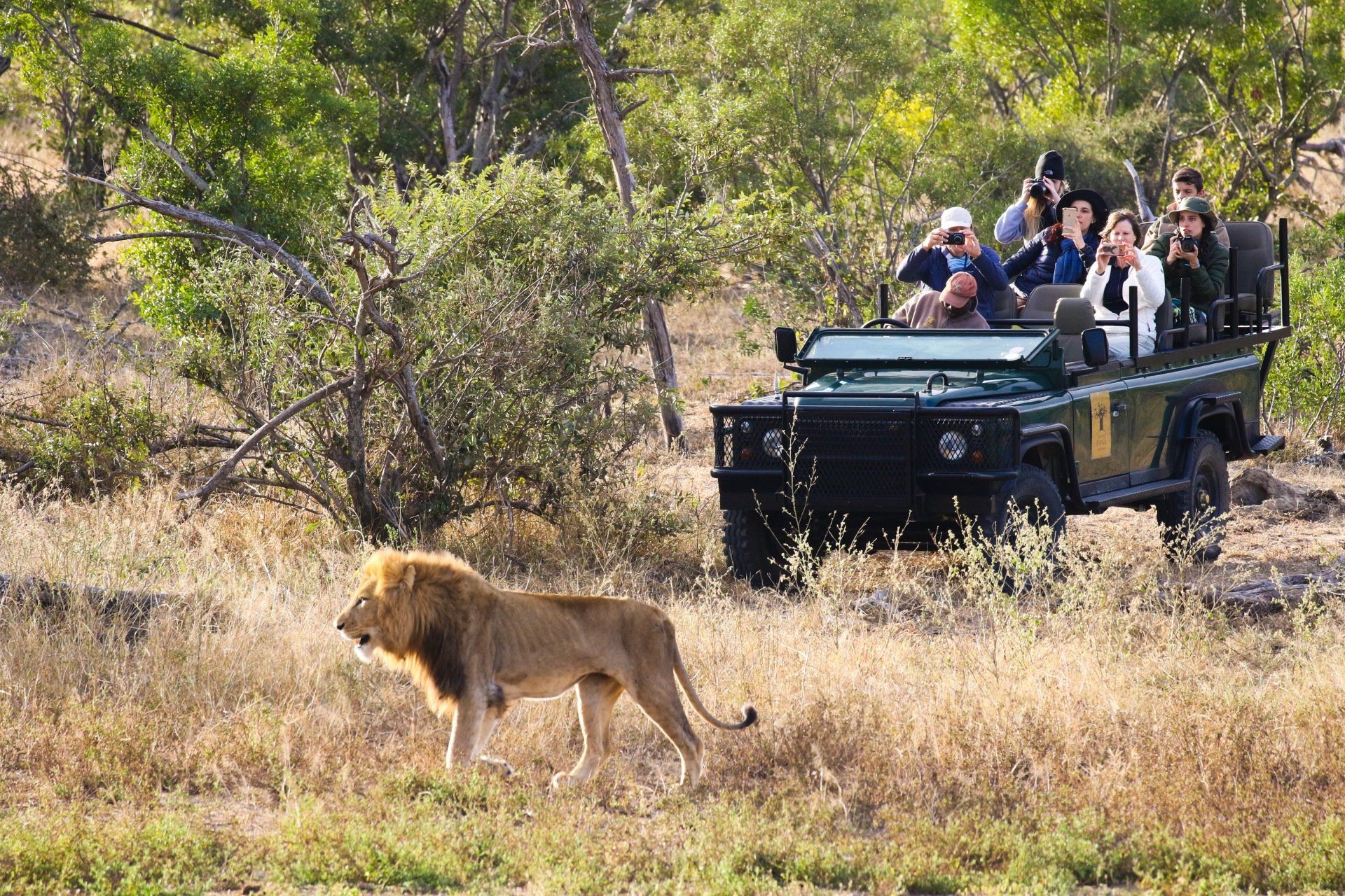 Baobab Ridge | Experience True Wilderness