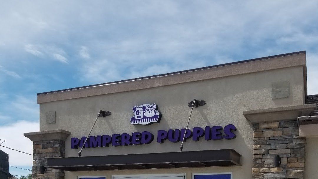 Grooming Office — Victorville, CA — Pampered Puppies