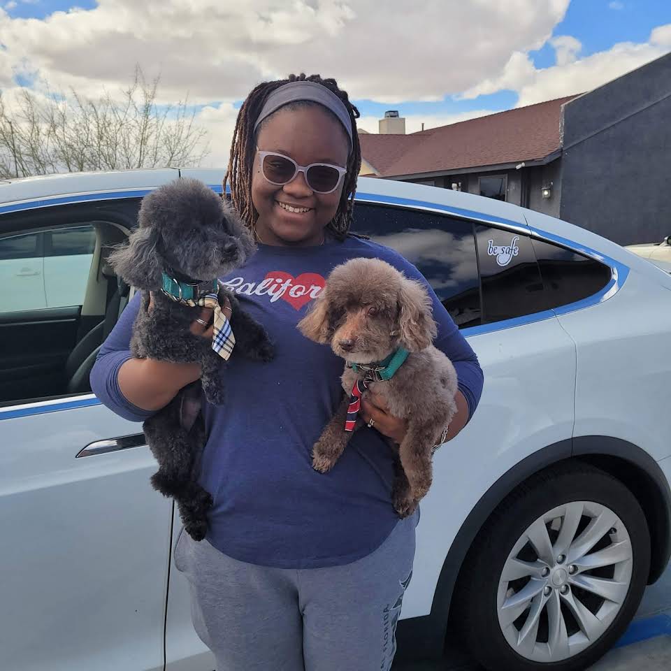 Dog & Cat Grooming Gallery Hesperia, CA Pampered Puppies