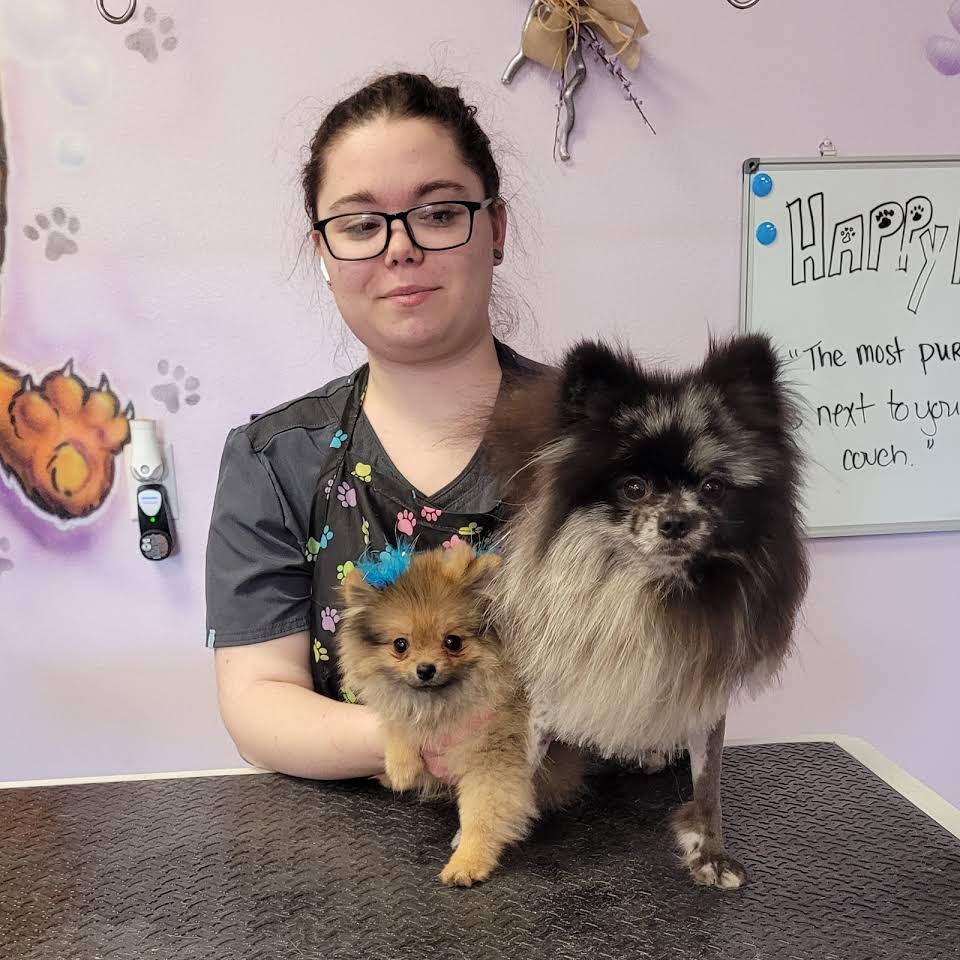 Adorable Dogs for Grooming — Victorville, CA — Pampered Puppies