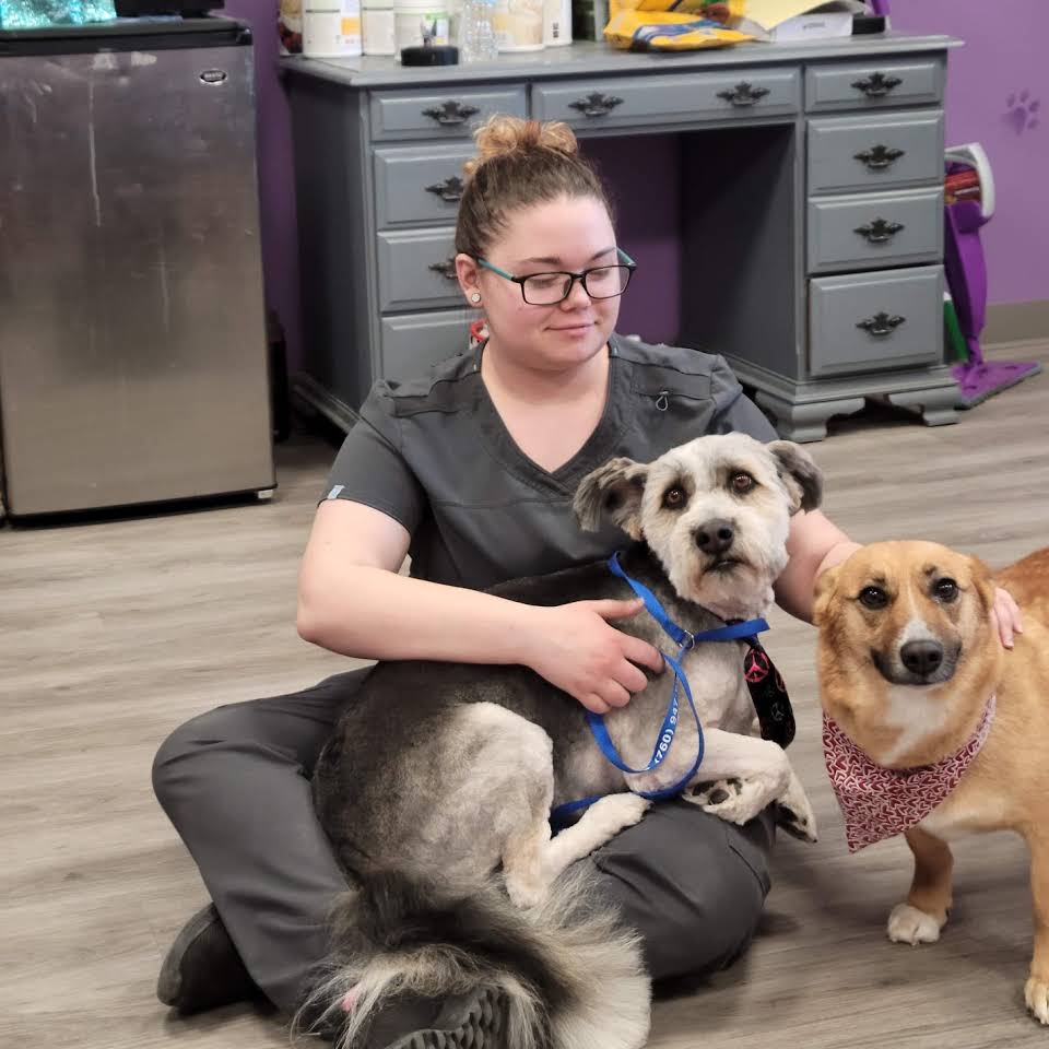 Adorable Pets — Victorville, CA — Pampered Puppies