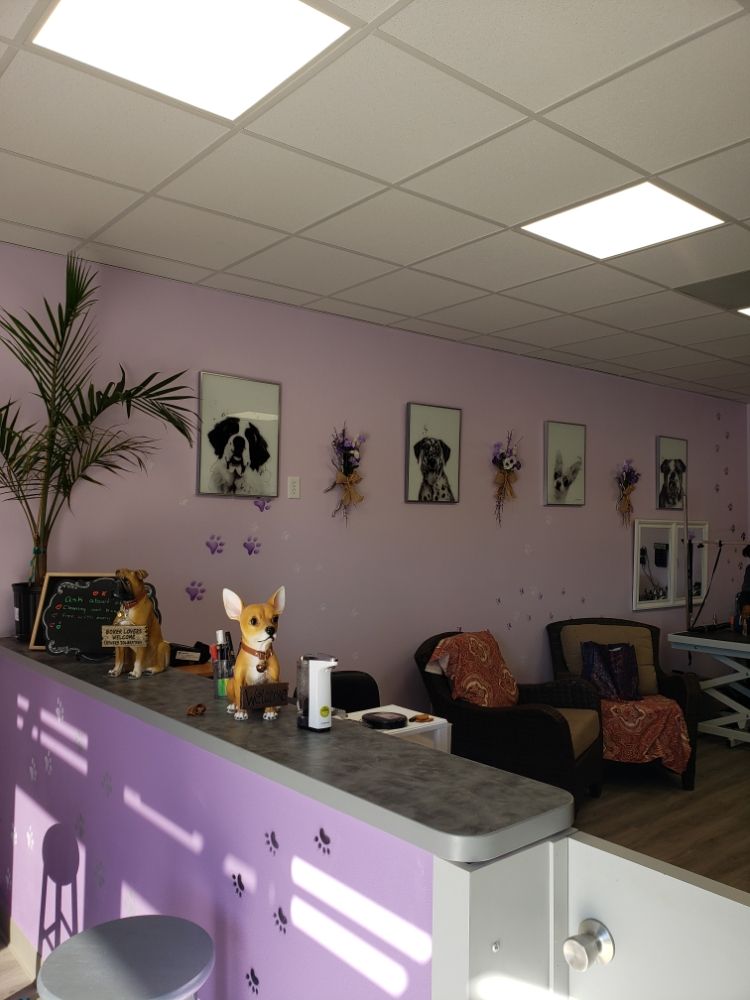 Pet Grooming Interior Office — Victorville, CA — Pampered Puppies