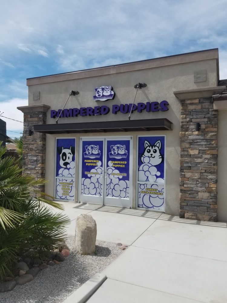 Dog & Cat Grooming Gallery Hesperia, CA Pampered Puppies