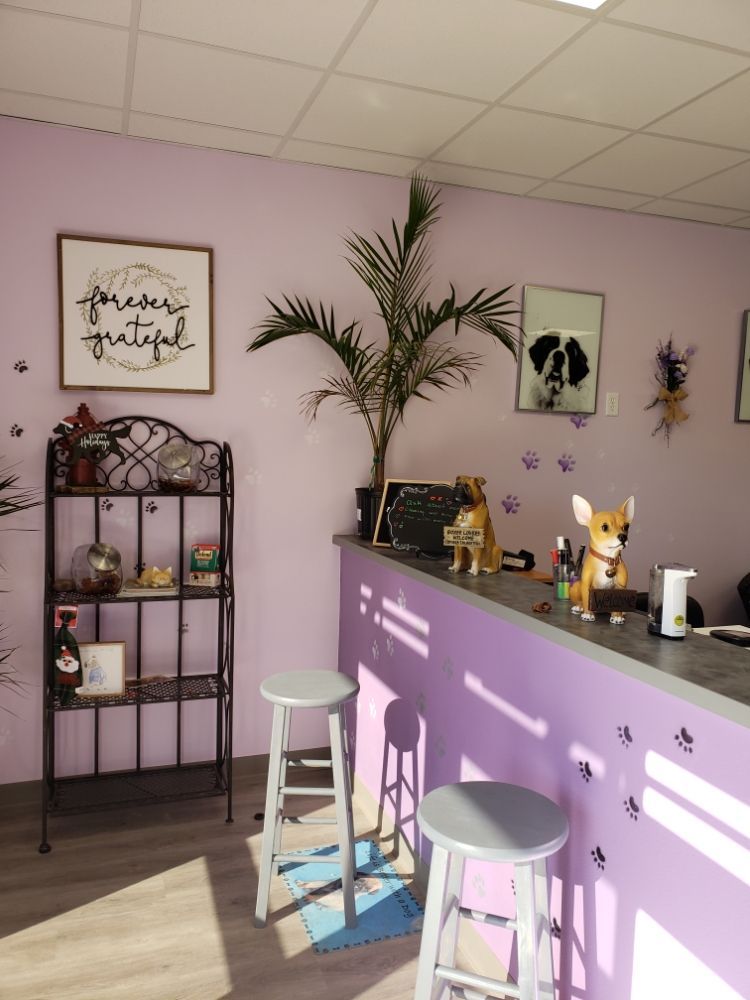 Dog & Cat Grooming Gallery Hesperia, CA Pampered Puppies