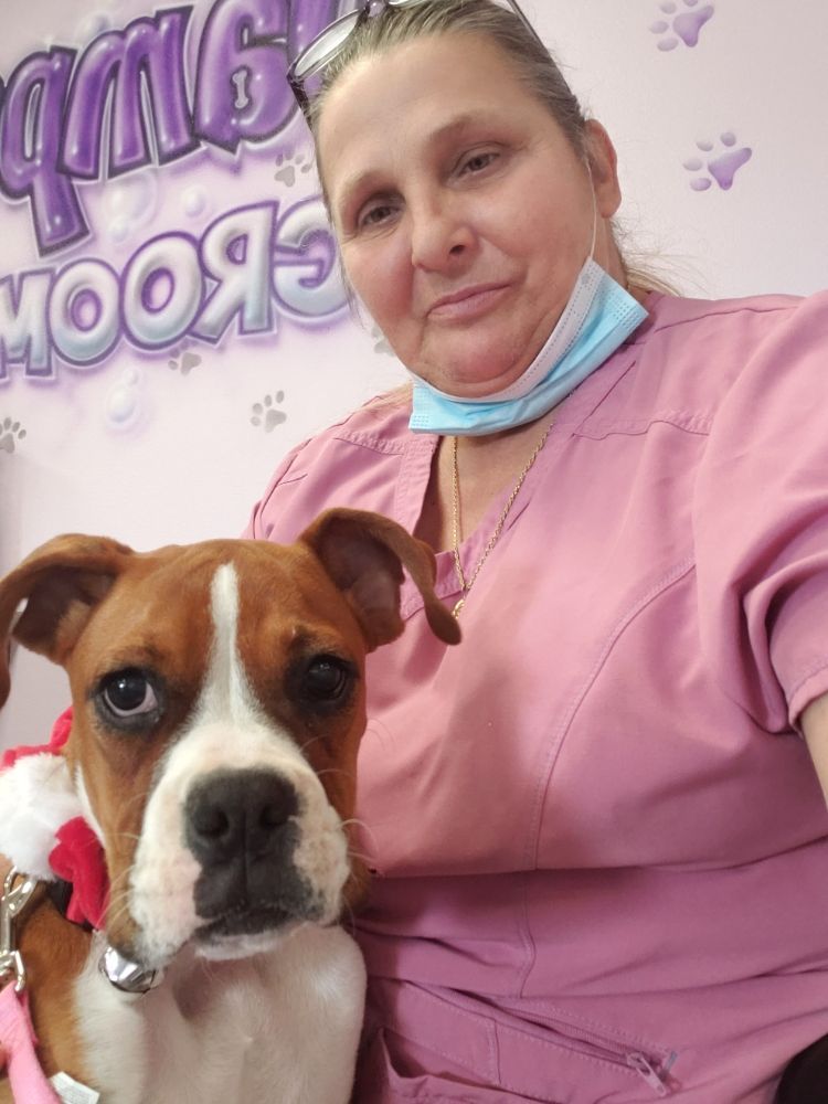 Dog & Cat Grooming Gallery Hesperia, CA Pampered Puppies