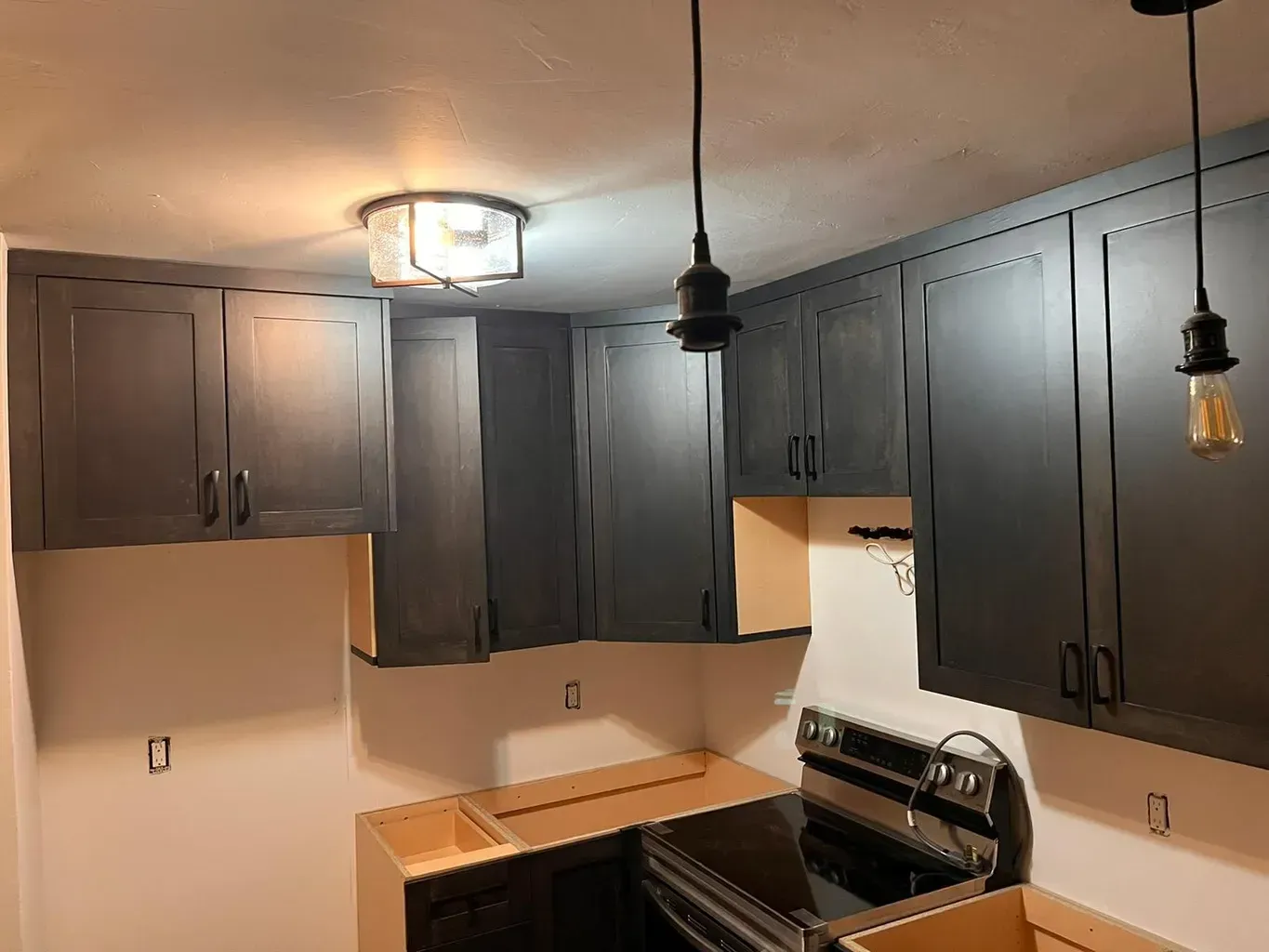 Cabinets with a dark color scheme on the doors