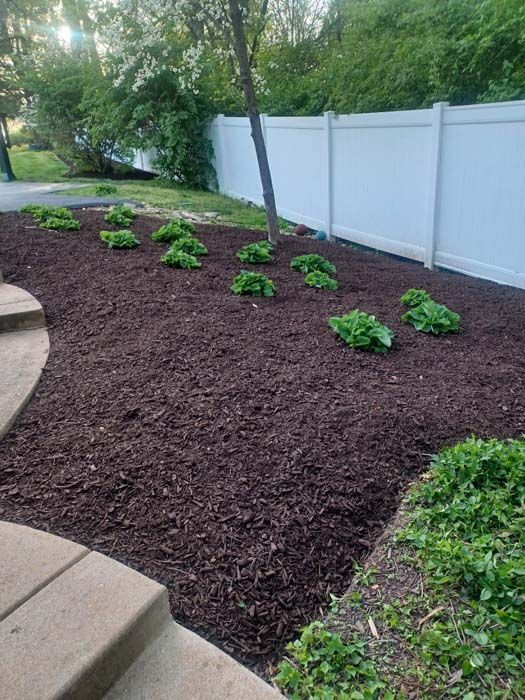 A white fence surrounds a garden filled with mulch and plants.