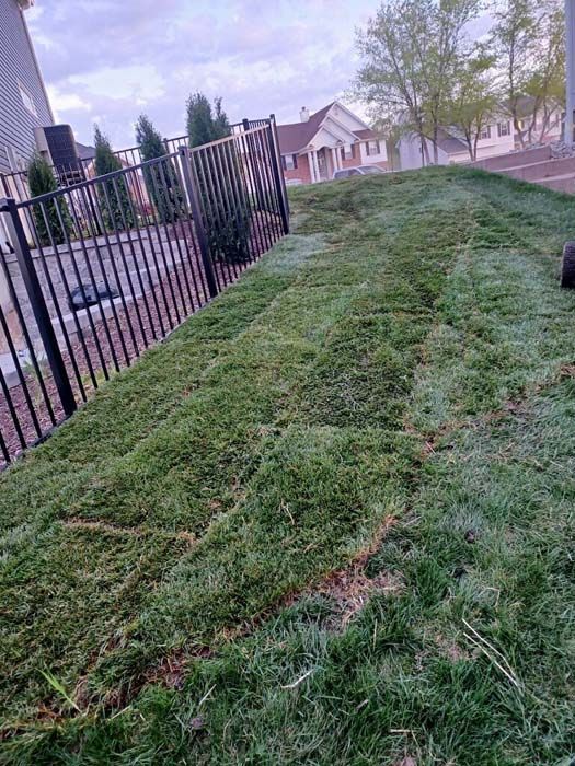 A lawn mower is cutting a lush green lawn next to a fence.