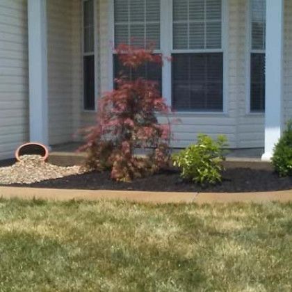 A house with a porch and a tree in front of it