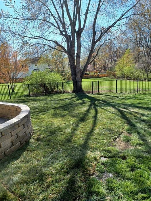 A backyard with a fire pit and a tree in the middle of it.