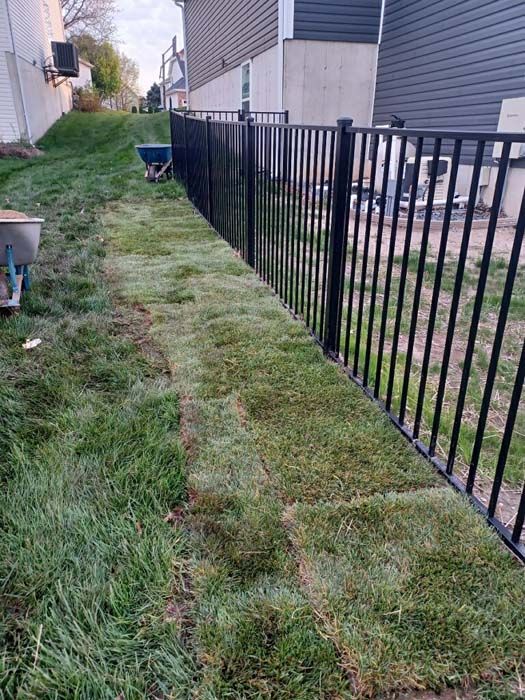 A black metal fence surrounds a lush green yard.