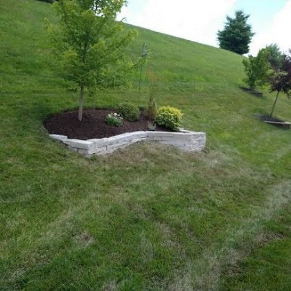 A lush green lawn with a brick wall and a tree in the middle.