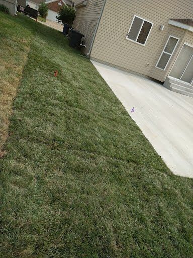 A lush green lawn in front of a house with a concrete driveway.