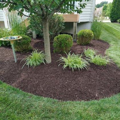 There is a bird bath in the middle of the garden.