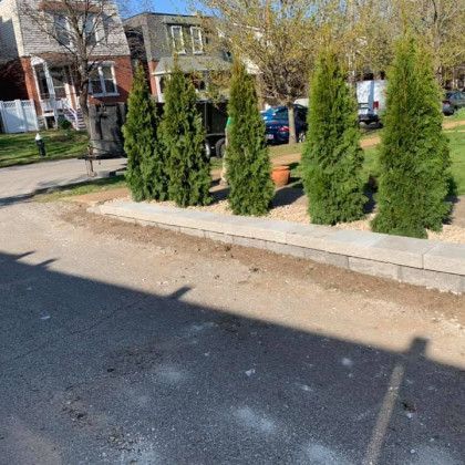 A row of trees sitting next to each other on the side of a road.