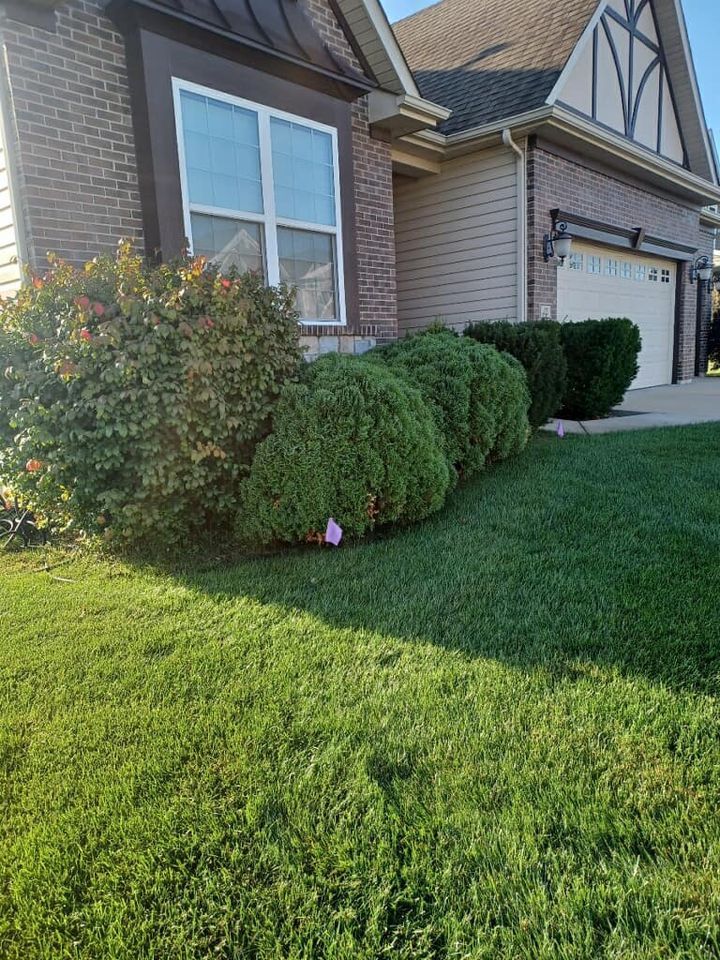 A house with a lush green lawn and bushes in front of it.