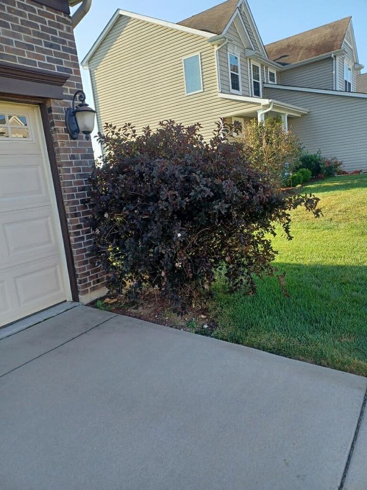 A brick house with a garage door and a bush in front of it.