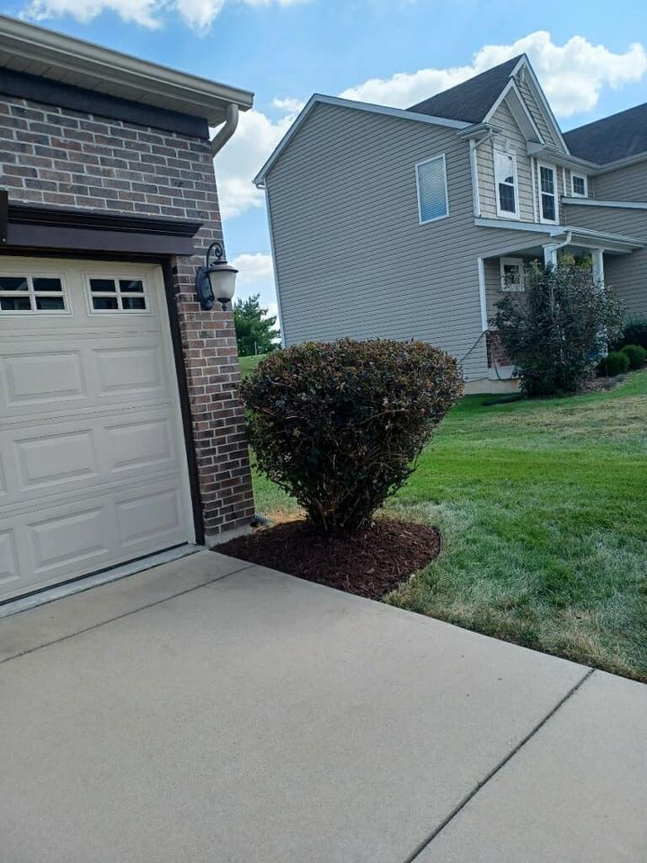 A house with a garage door and a bush in front of it.
