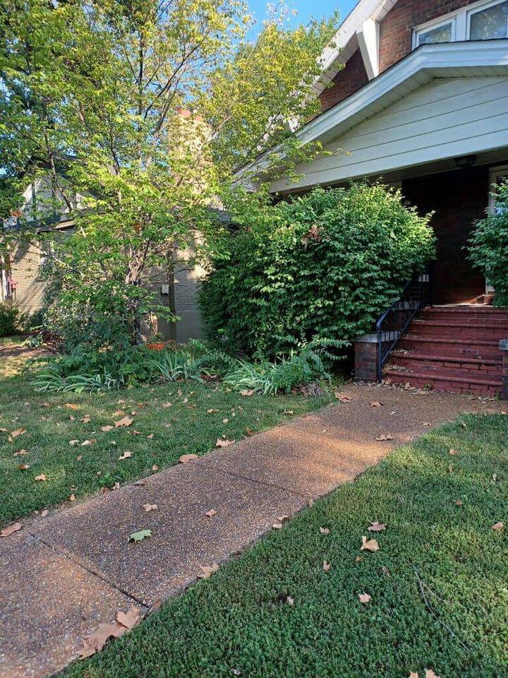 There is a walkway leading to the front of the house.