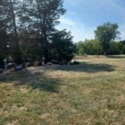 A large grassy field with trees in the background on a sunny day.