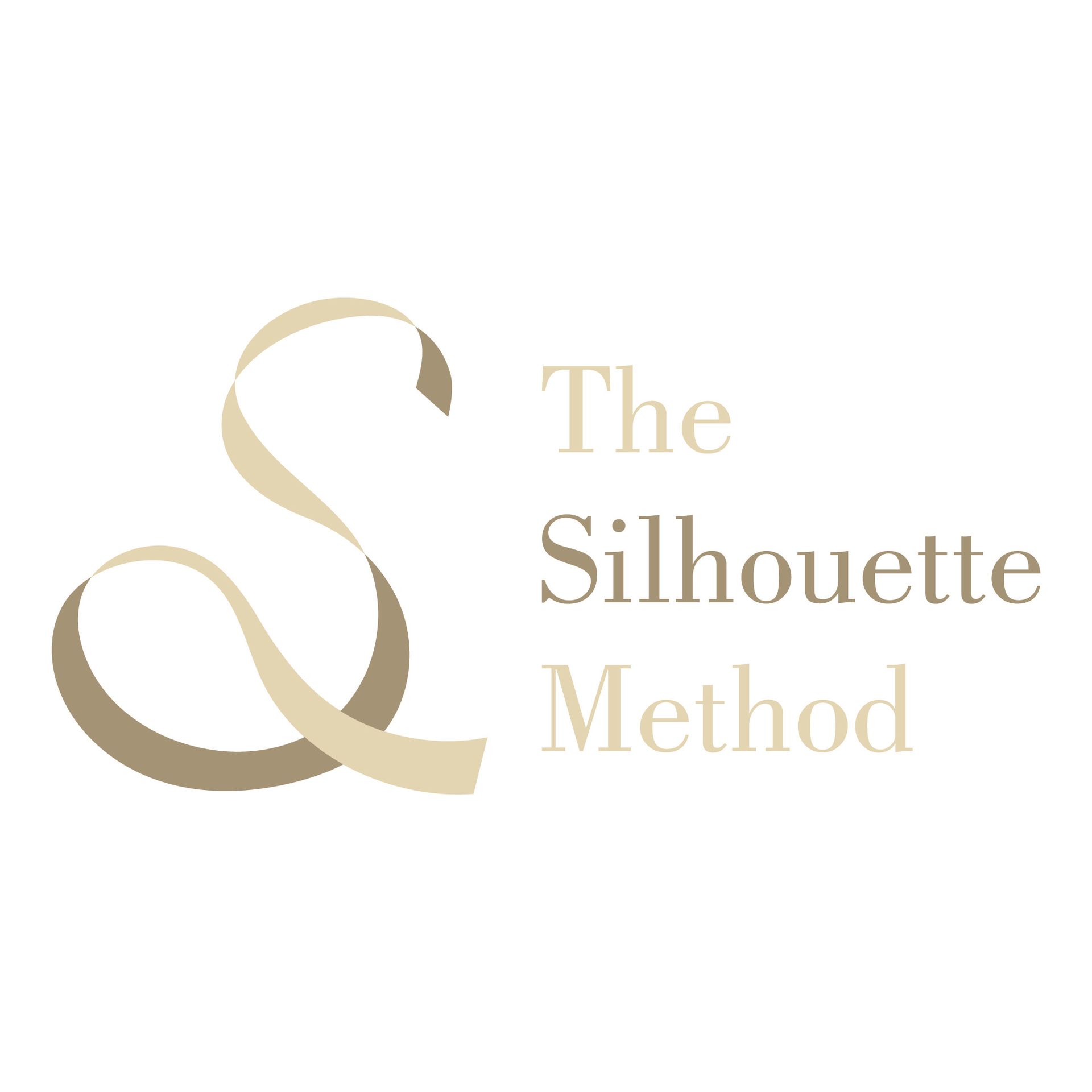 THE SILHOUETTE METHOD barre pilates home workout alexis sweeney