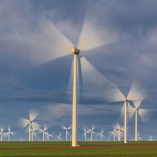 A row of wind turbines are spinning in a field.