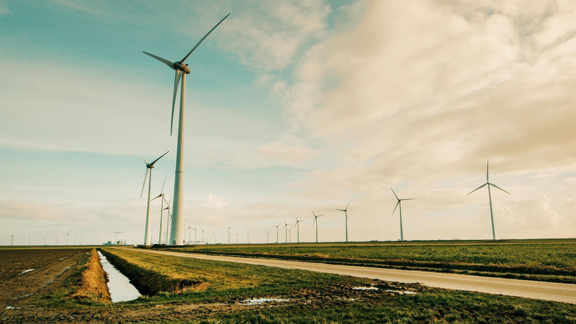 Energía eólica: Producida por el viento mediante aerogeneradores.