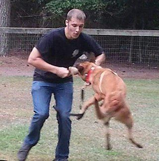 Canine training in Raeford, NC - Kranenburg Canine Training Center