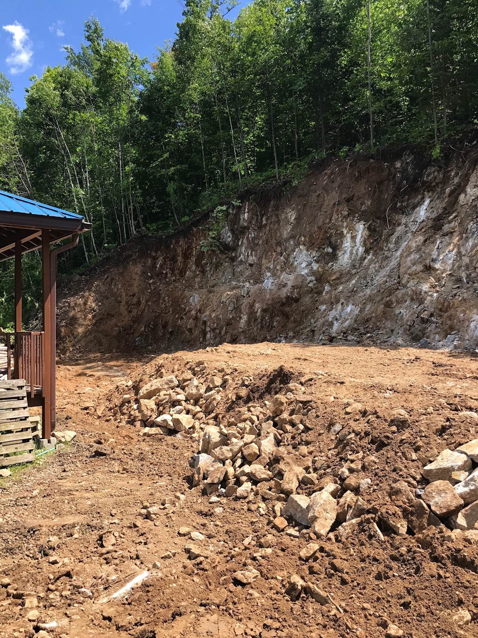Il y a beaucoup de terre et de rochers au milieu d'une forêt.
