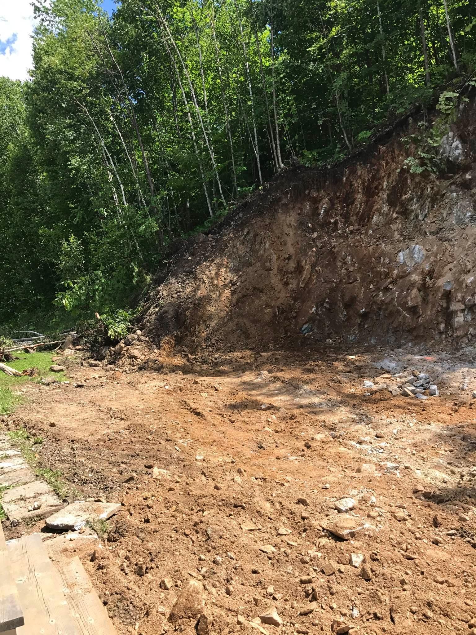 Il y a un gros tas de terre au milieu d'une forêt.