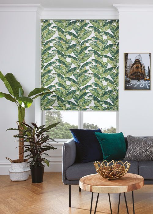 A living room with a couch , table , and plant.