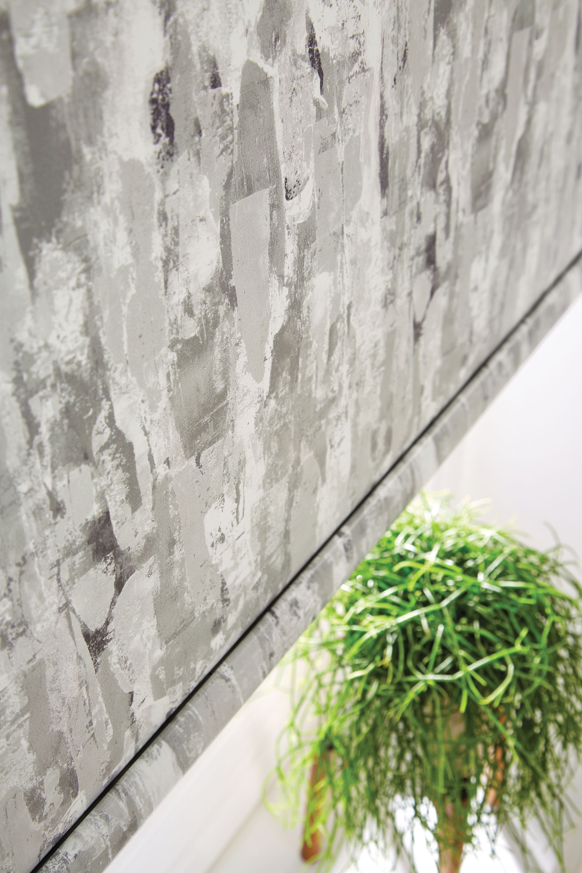 A potted plant is sitting in front of a concrete wall.