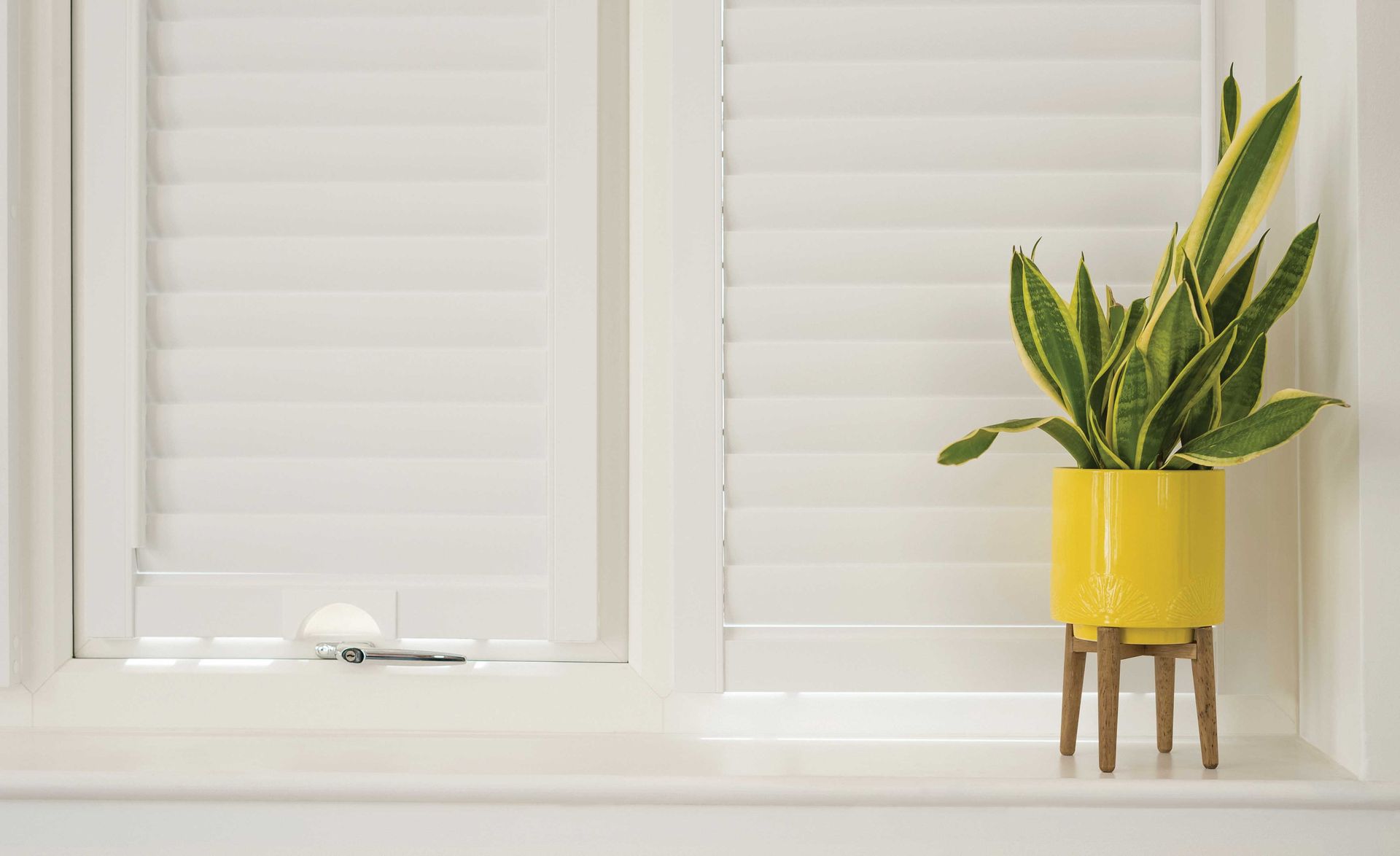 A yellow potted plant is sitting on a window sill next to a window.