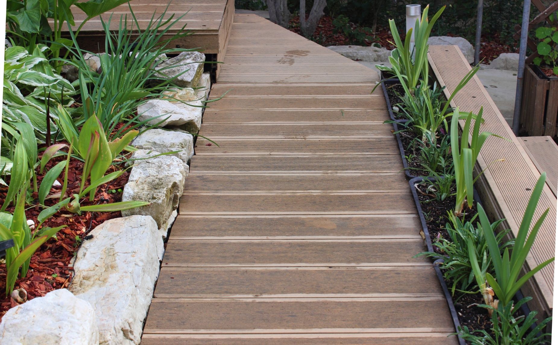 Wooden boardwalk pathway through a garden, with plants and rocks on either side.