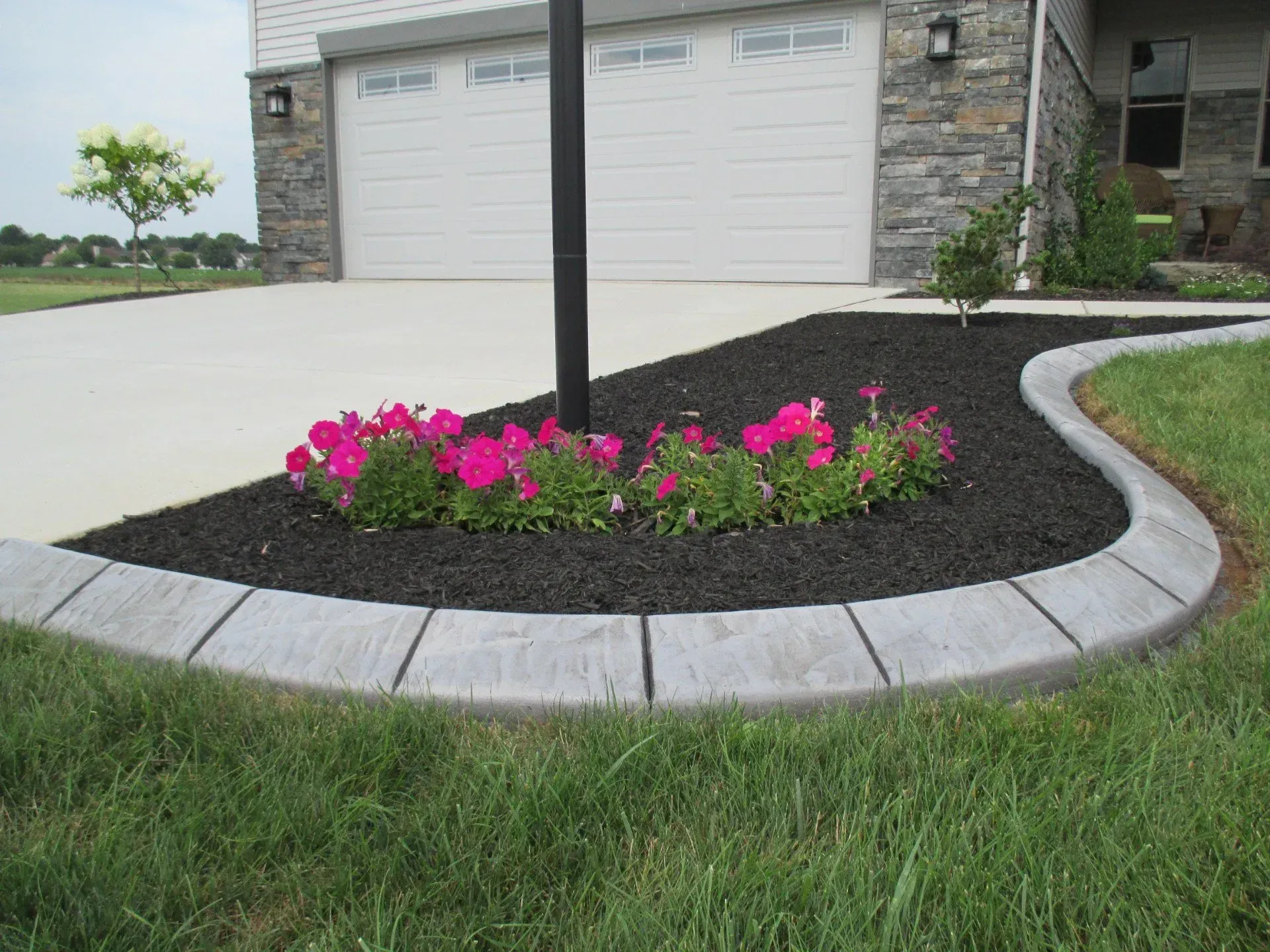 Flower bed with pink flowers and a concrete border next to a driveway in front of a house.