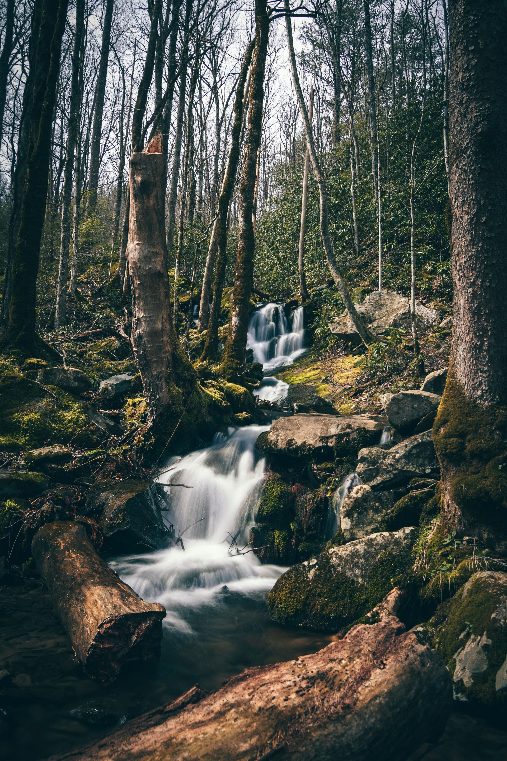 A small waterfall in the middle of a forest surrounded by trees and rocks.