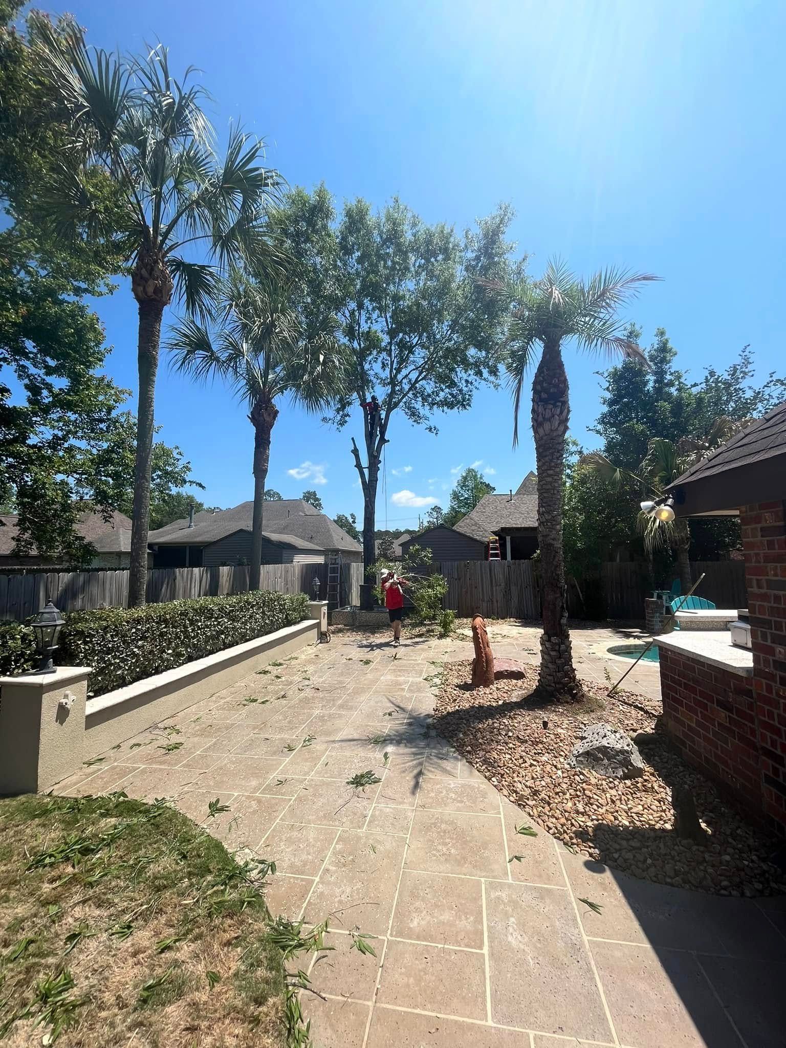 A person in a red shirt works in a backyard with stone paving, palm trees, and a pool on a sunny day.