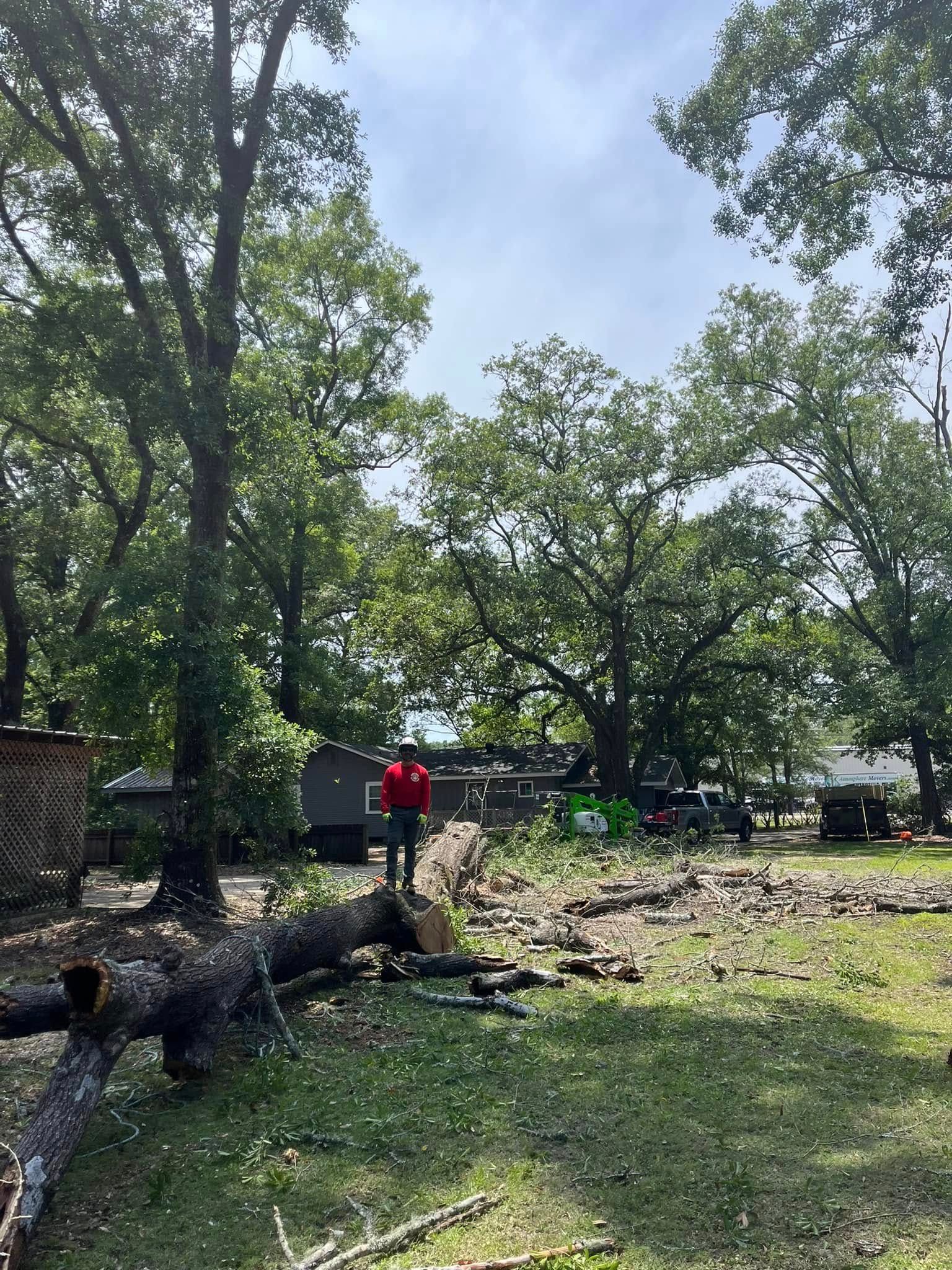 A person in a red shirt stands by a large fallen tree trunk in a yard filled with scattered branches and debris.